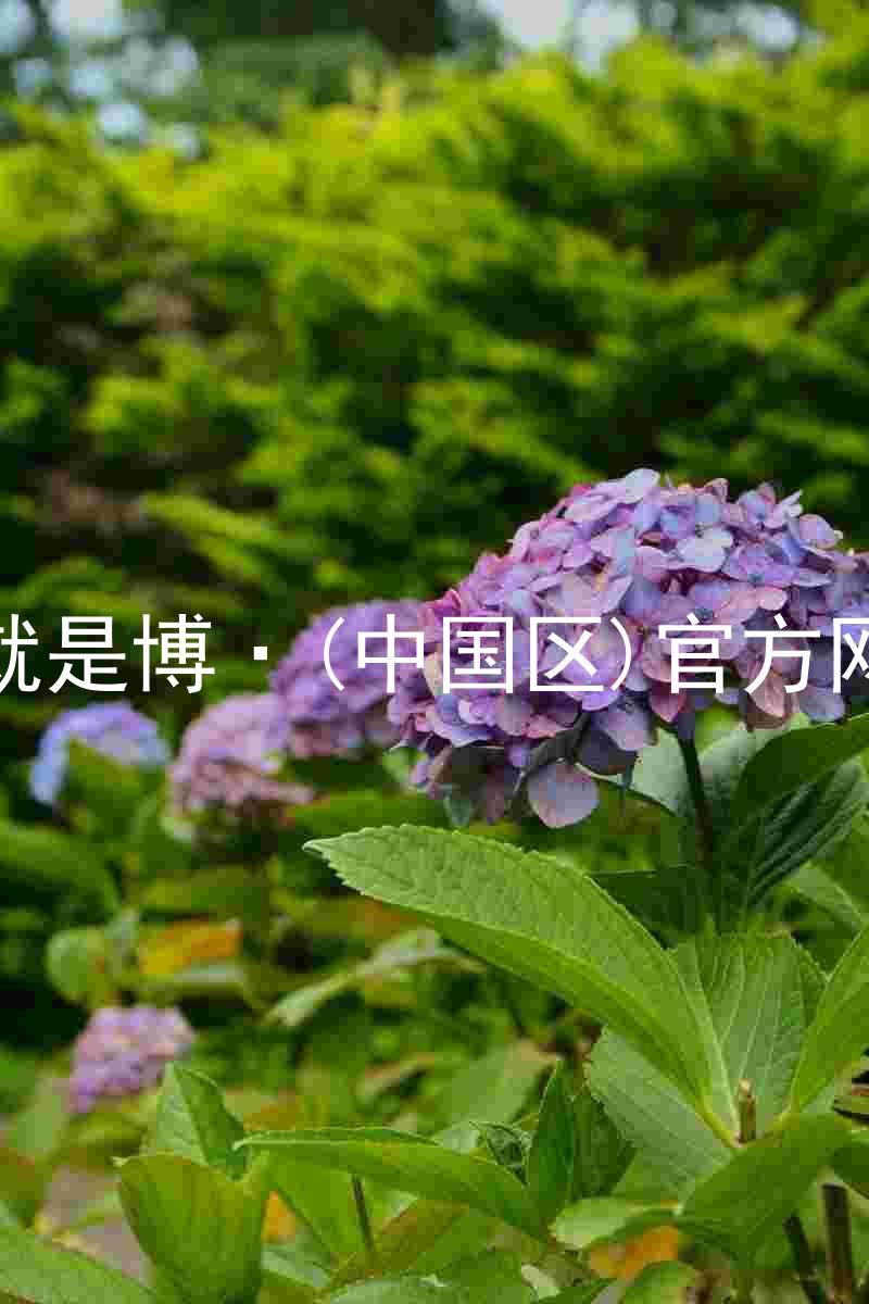 人生就是博·(中国区)官方网站z6